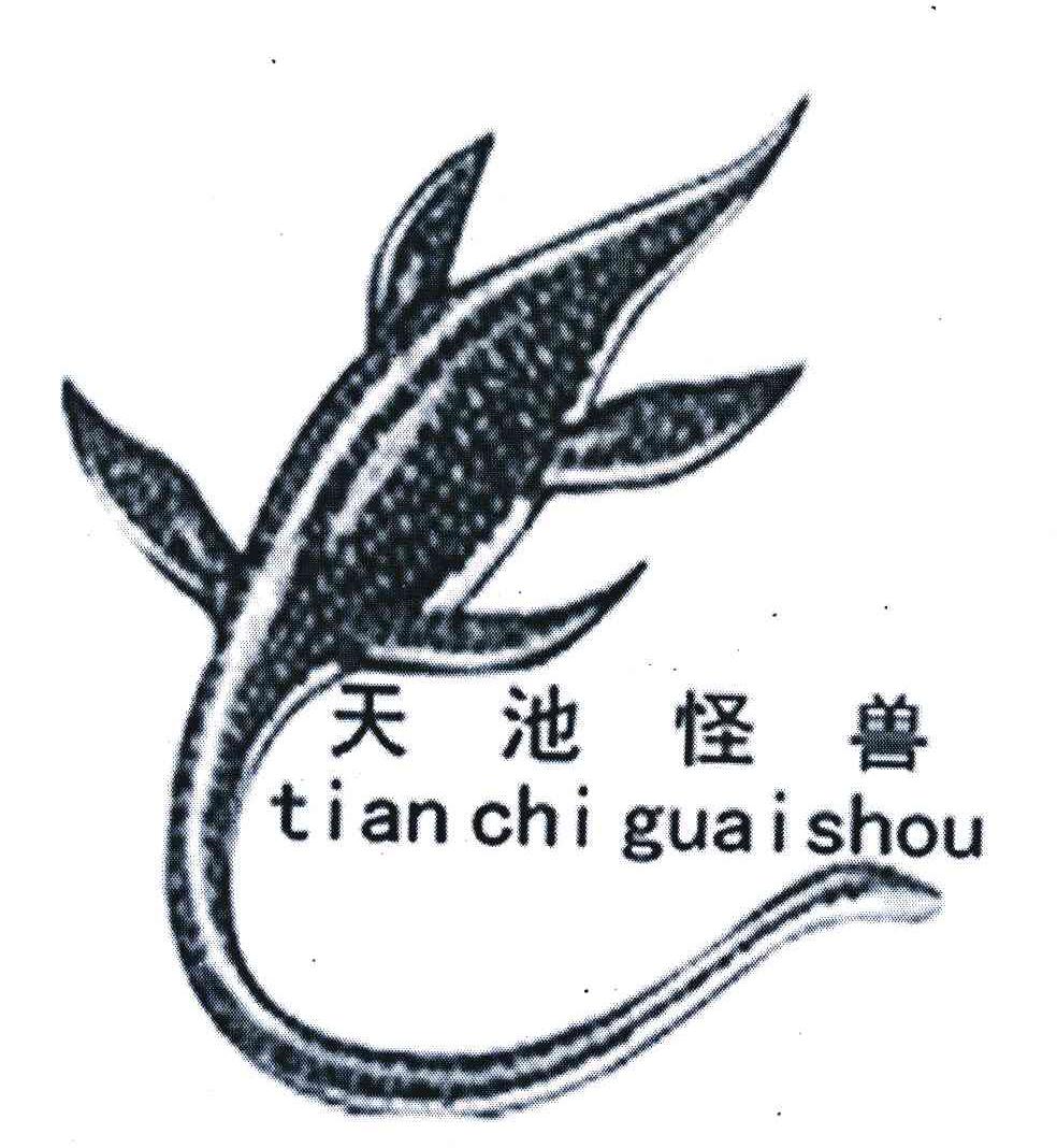 天池怪兽