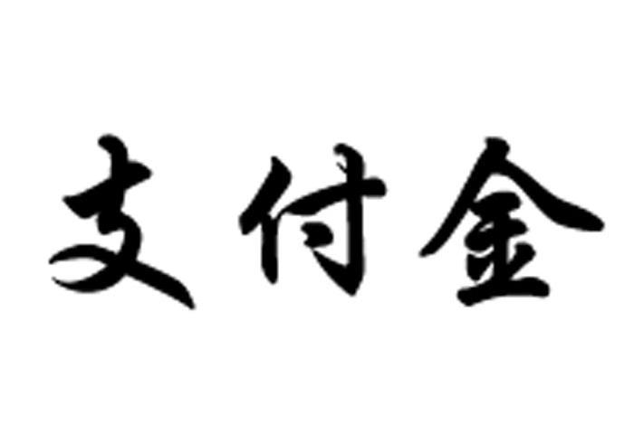 支付金