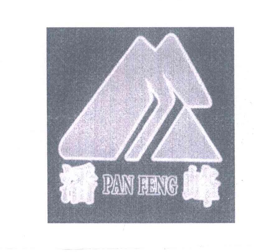 潘峰