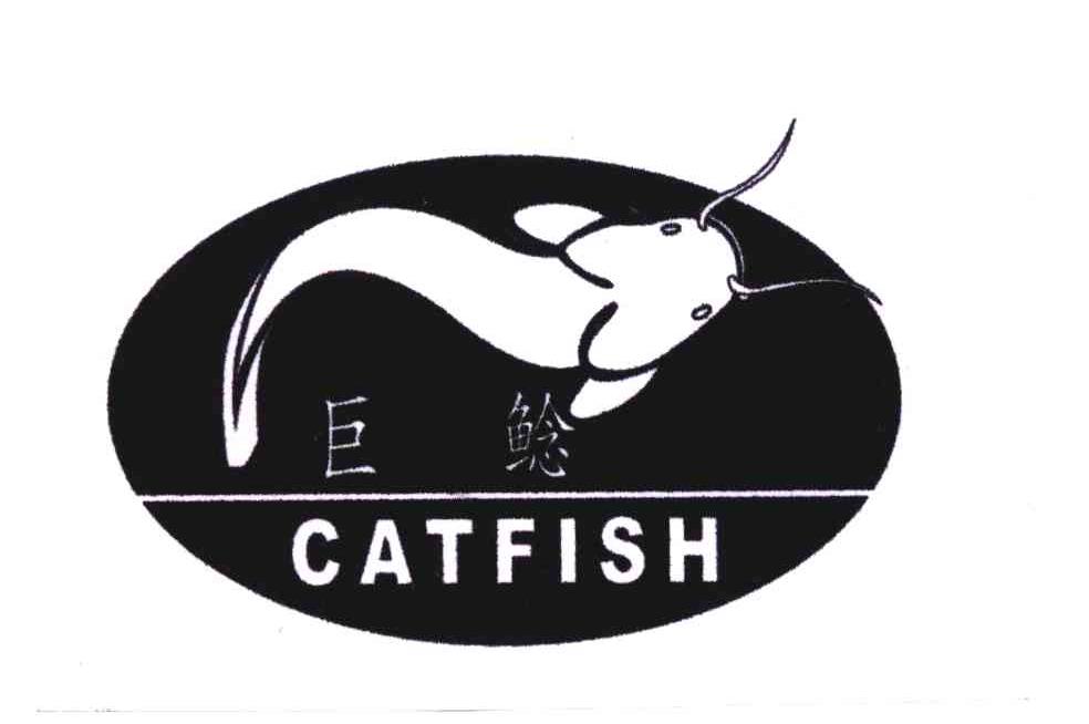 巨鲶;CATFISH