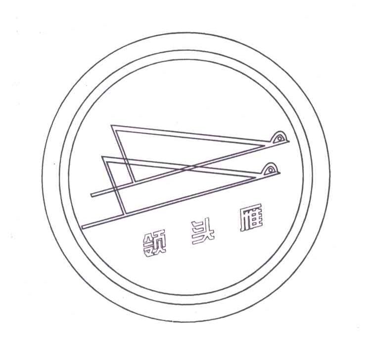 领头雁