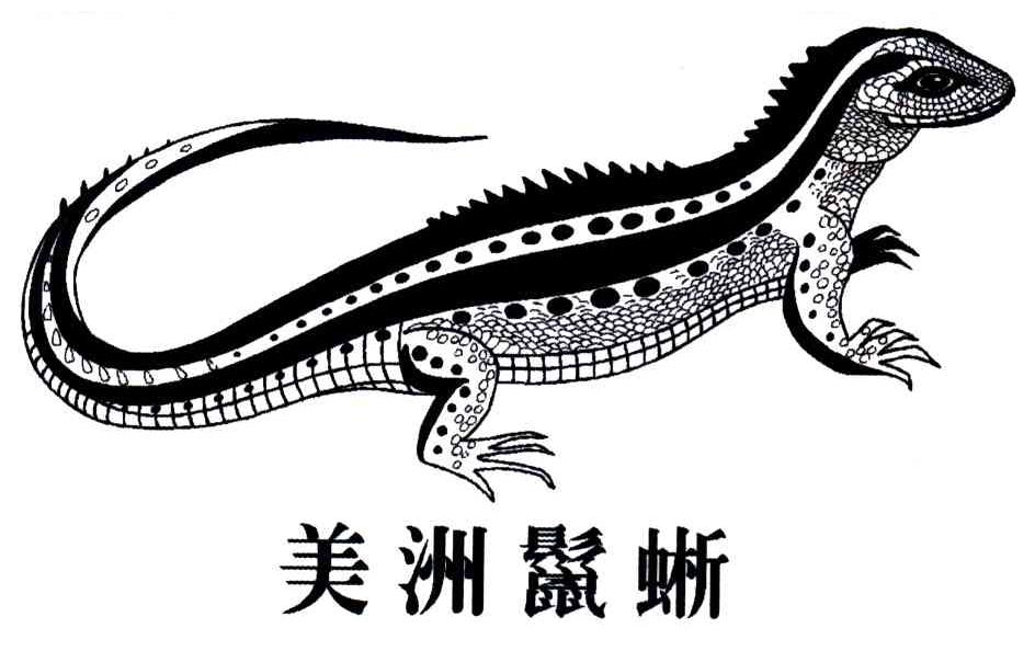 美洲鬣晰