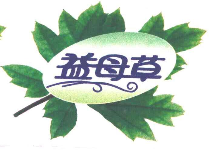 益母草