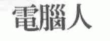 电脑人