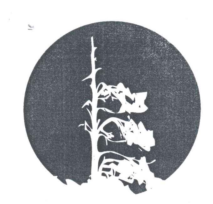 图形