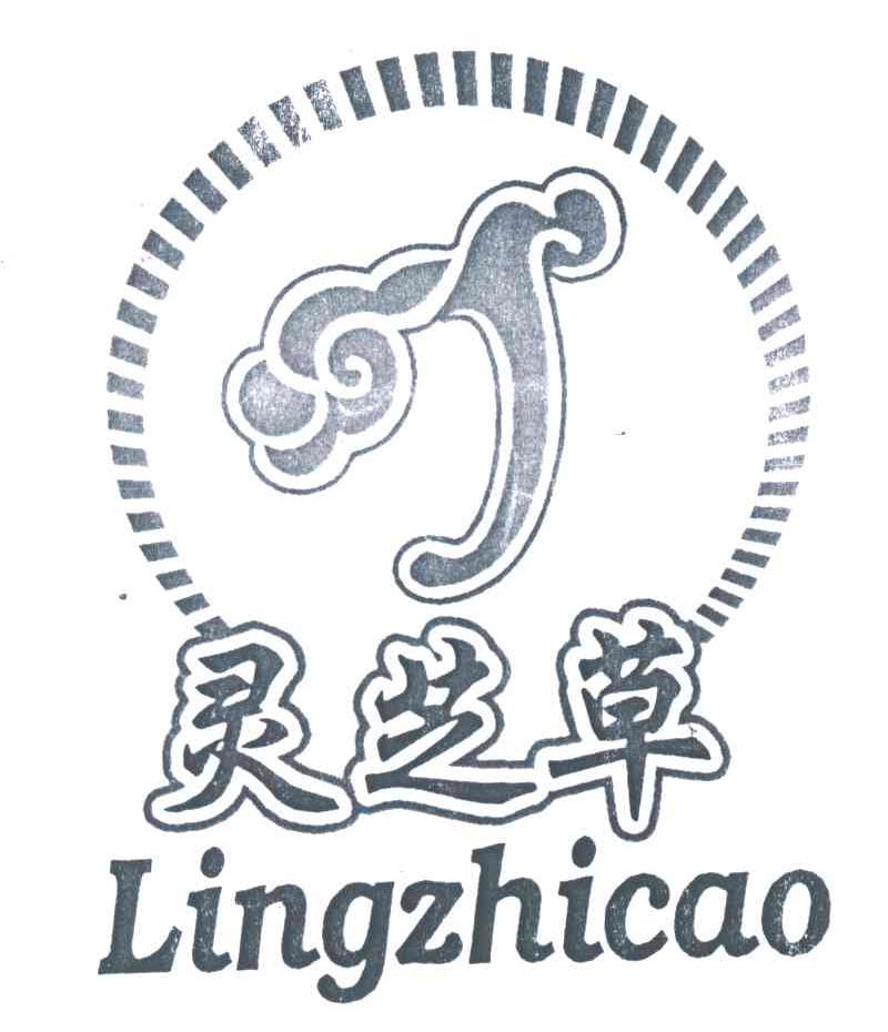 灵芝草