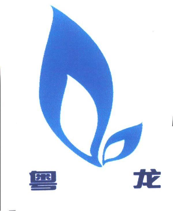 粤龙