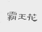 霸王花