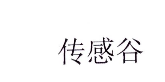 传感谷