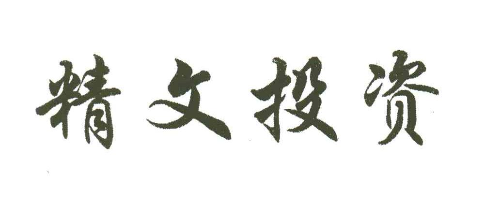 精文投资