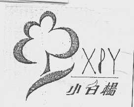 小白杨   XBY