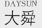 大舜  DAYSUN