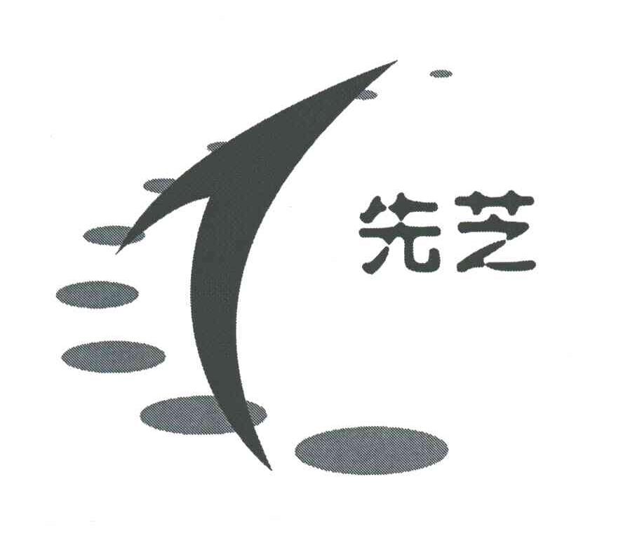 先芝