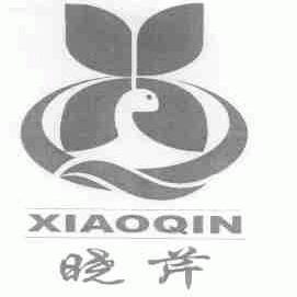 晓芹