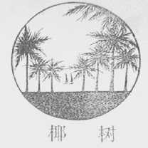 椰树