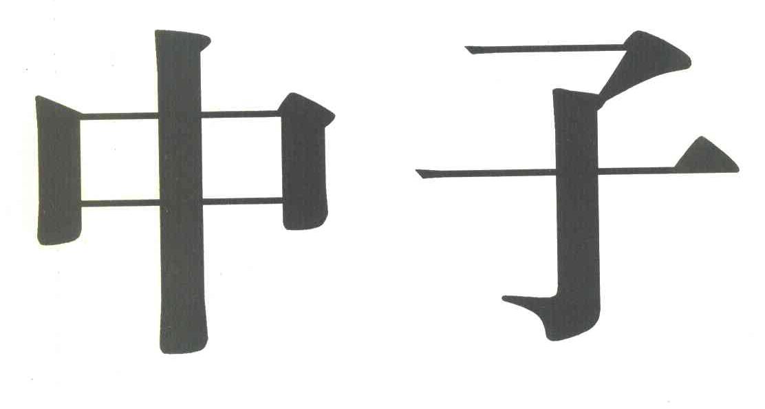 中子