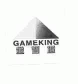 金智塔  GAMEKING
