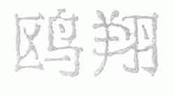 鸥翔