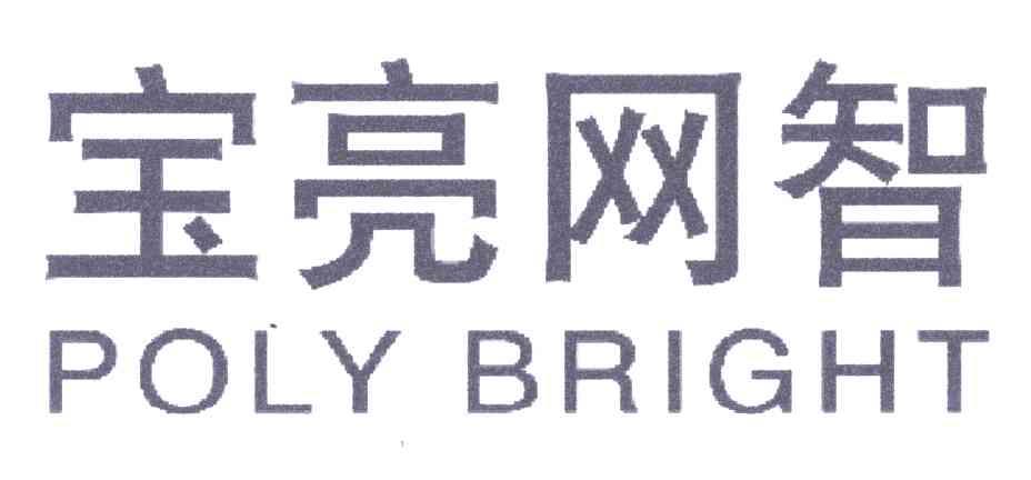 宝亮网智;POLY BRIGHT
