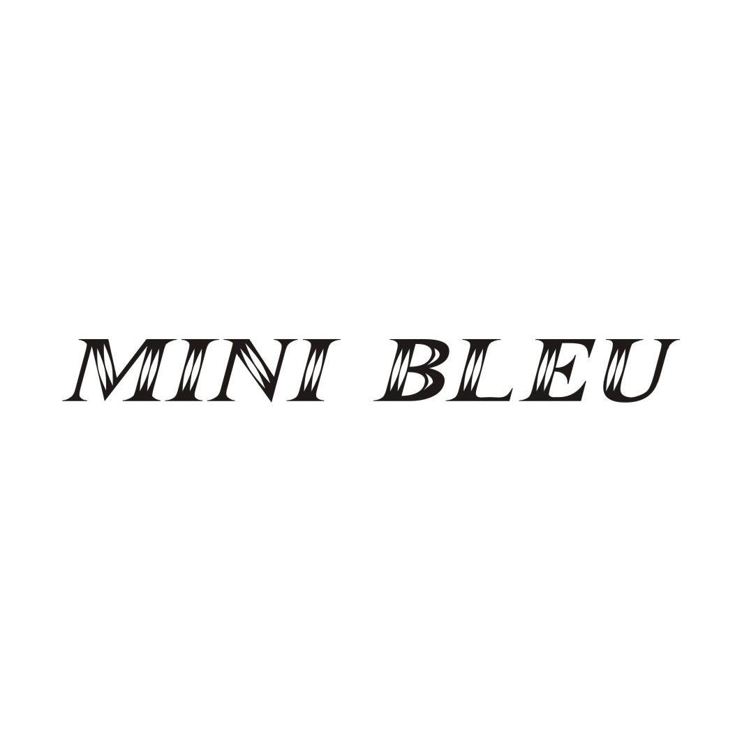 MINI BLEU