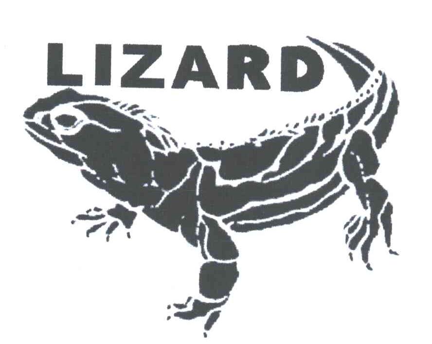 LIZARD及图