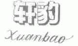 轩豹