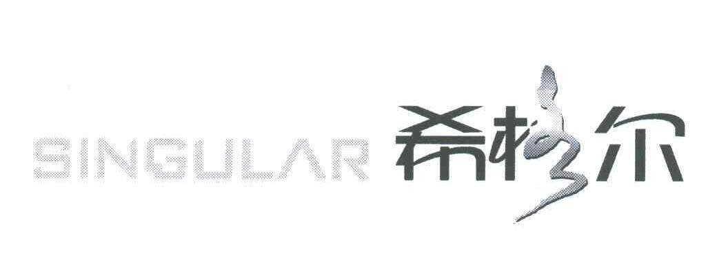 希格尔;SINGULAR