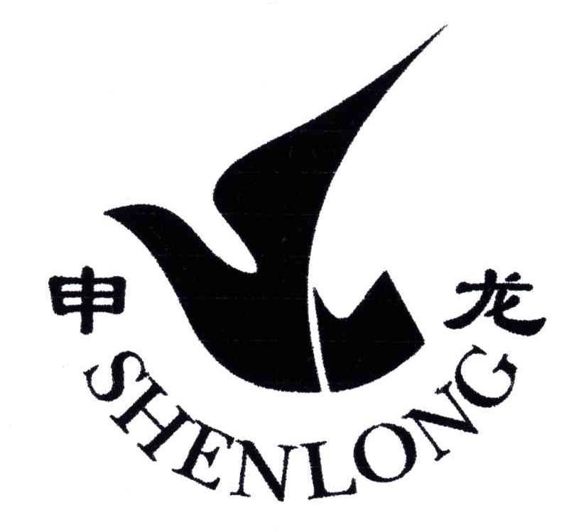 申龙