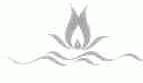图形