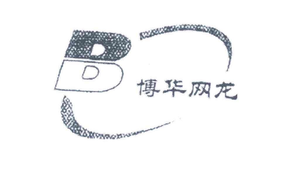 B;博华网龙