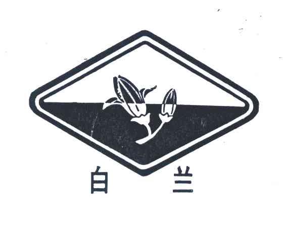 白兰