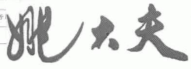 姚大夫