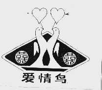 爱情鸟