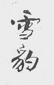 雪豹