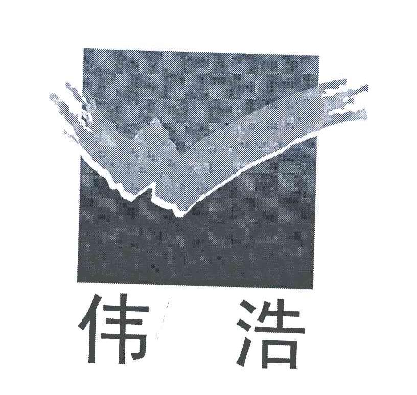 伟浩