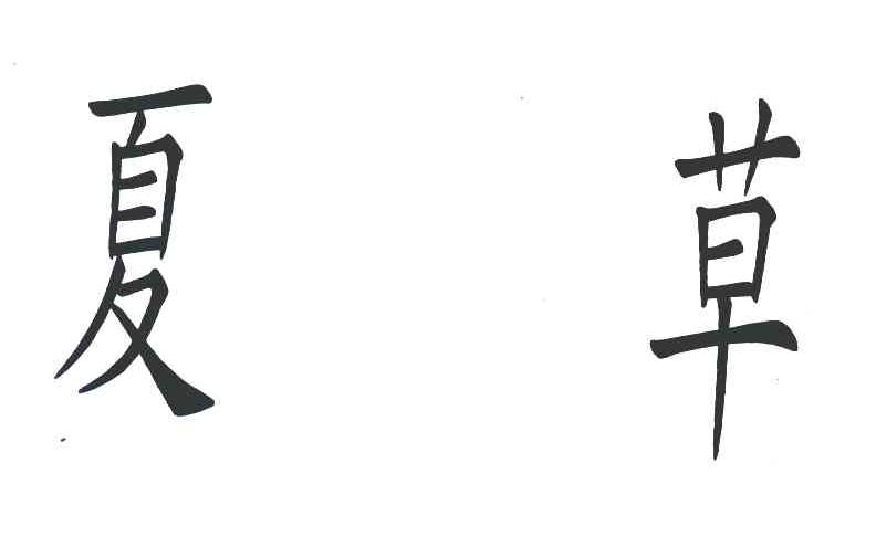 夏草