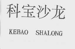 科宝沙龙
