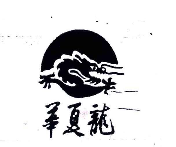 华夏龙