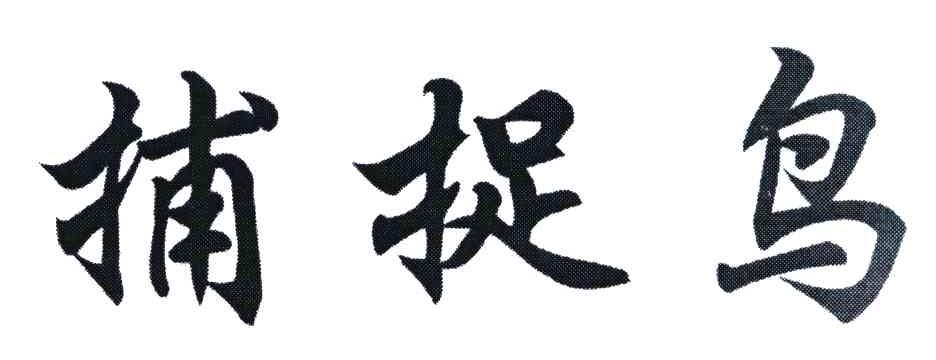 捕捉鸟