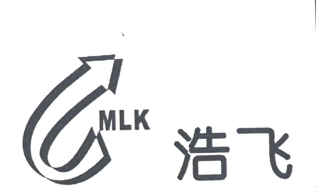 浩飞