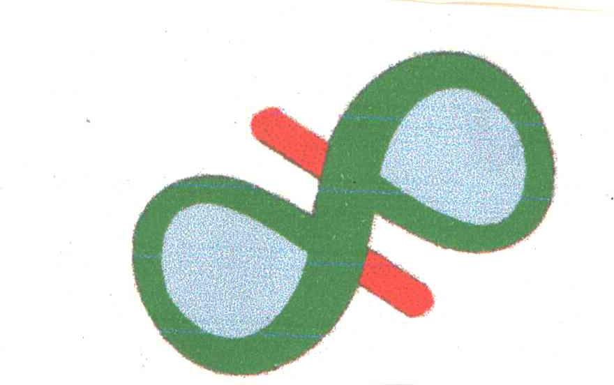 图形