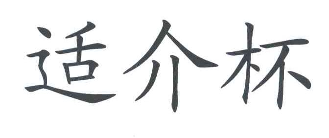 适介杯