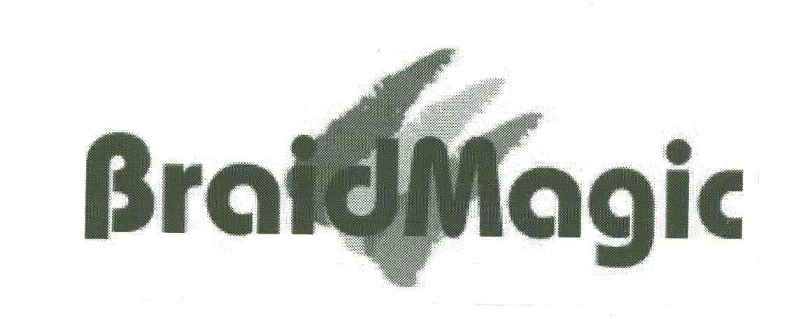 BRAIDMAGIC