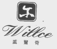 威尔奇   尔   WILLCE