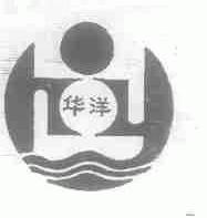 华洋
