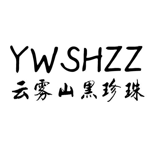 云雾山黑珍珠 YWSHZZ