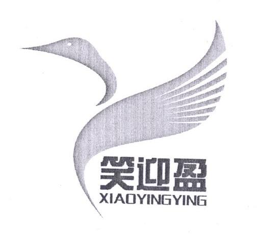笑迎盈