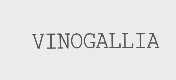 VINCGALLIA