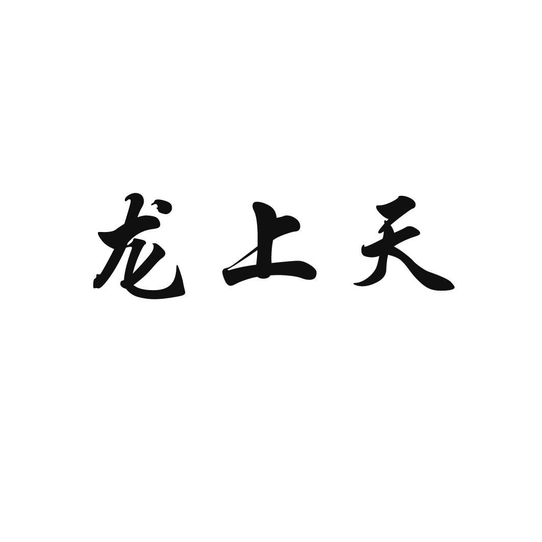 龙上天