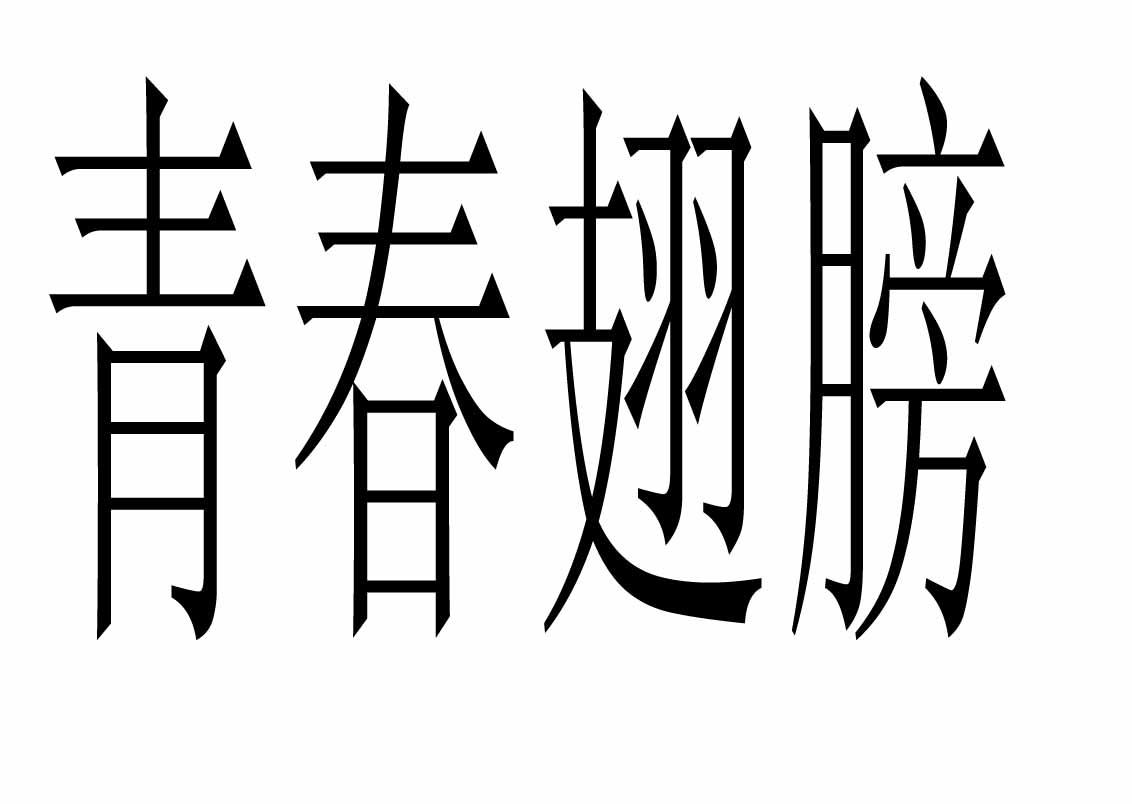 青春翅膀